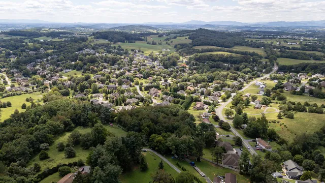 an aerial view of residential houses with outdoor space and trees