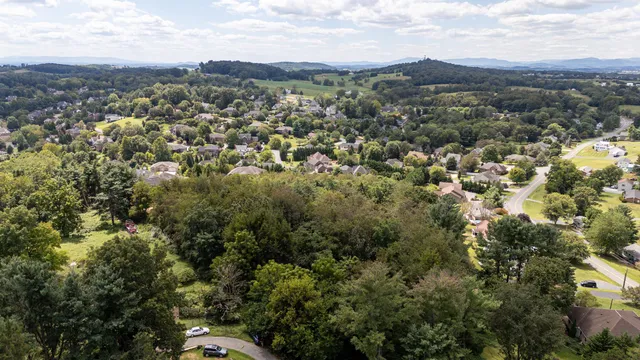 an aerial view of houses covered in trees