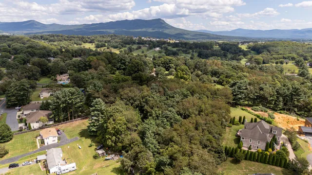 a view of a park with large trees