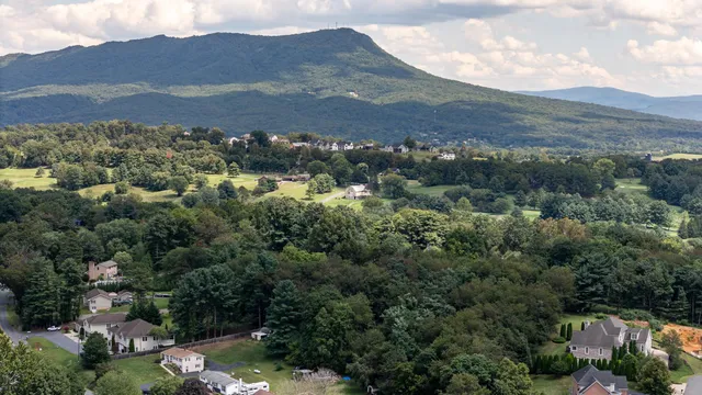 a front view of a house with a yard and green space
