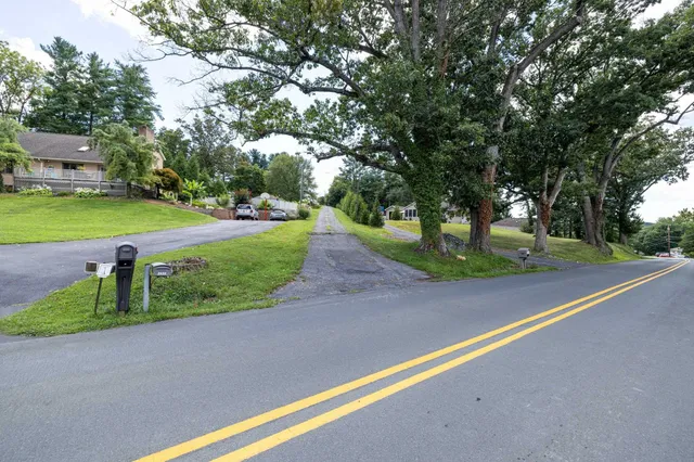a view of a park with large trees