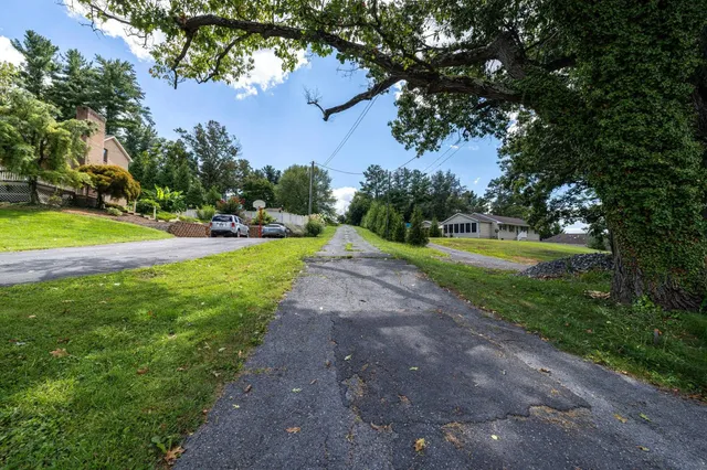 a view of a lush green forest