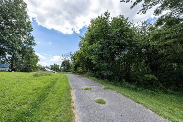 a view of outdoor space and garden