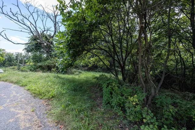 a view of a street with next to a yard