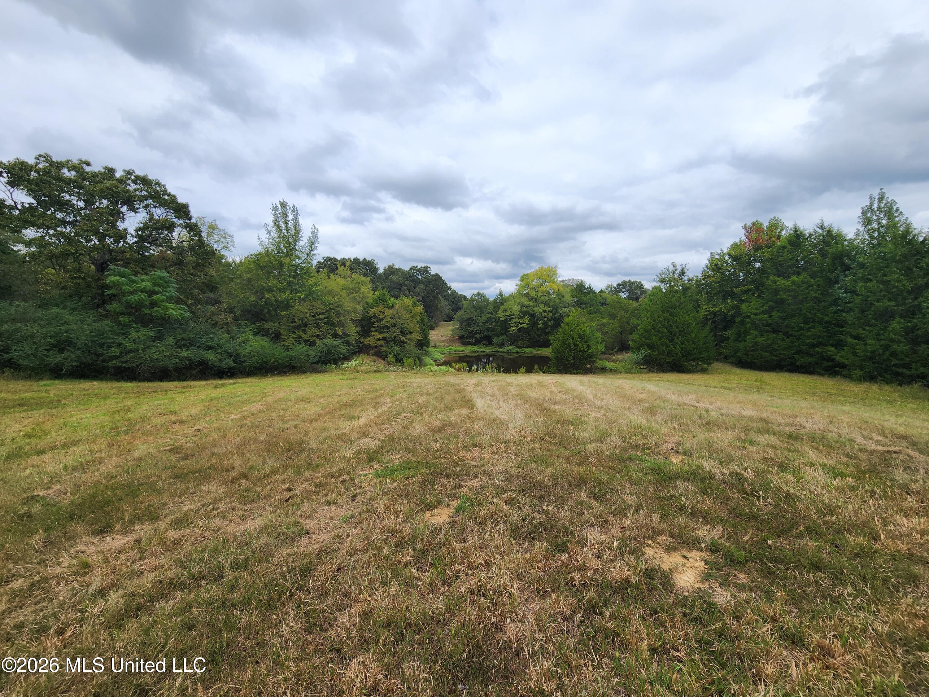 11.26 Bub Jamison Road Coldwater, MS 38618 - Photo 6 of 16 20260924_124641