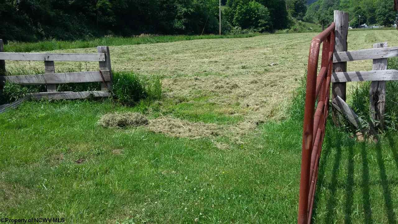 1079 Statler Run Road Fairview, WV 26570 - Photo 5 of 16 Gallery Image 5