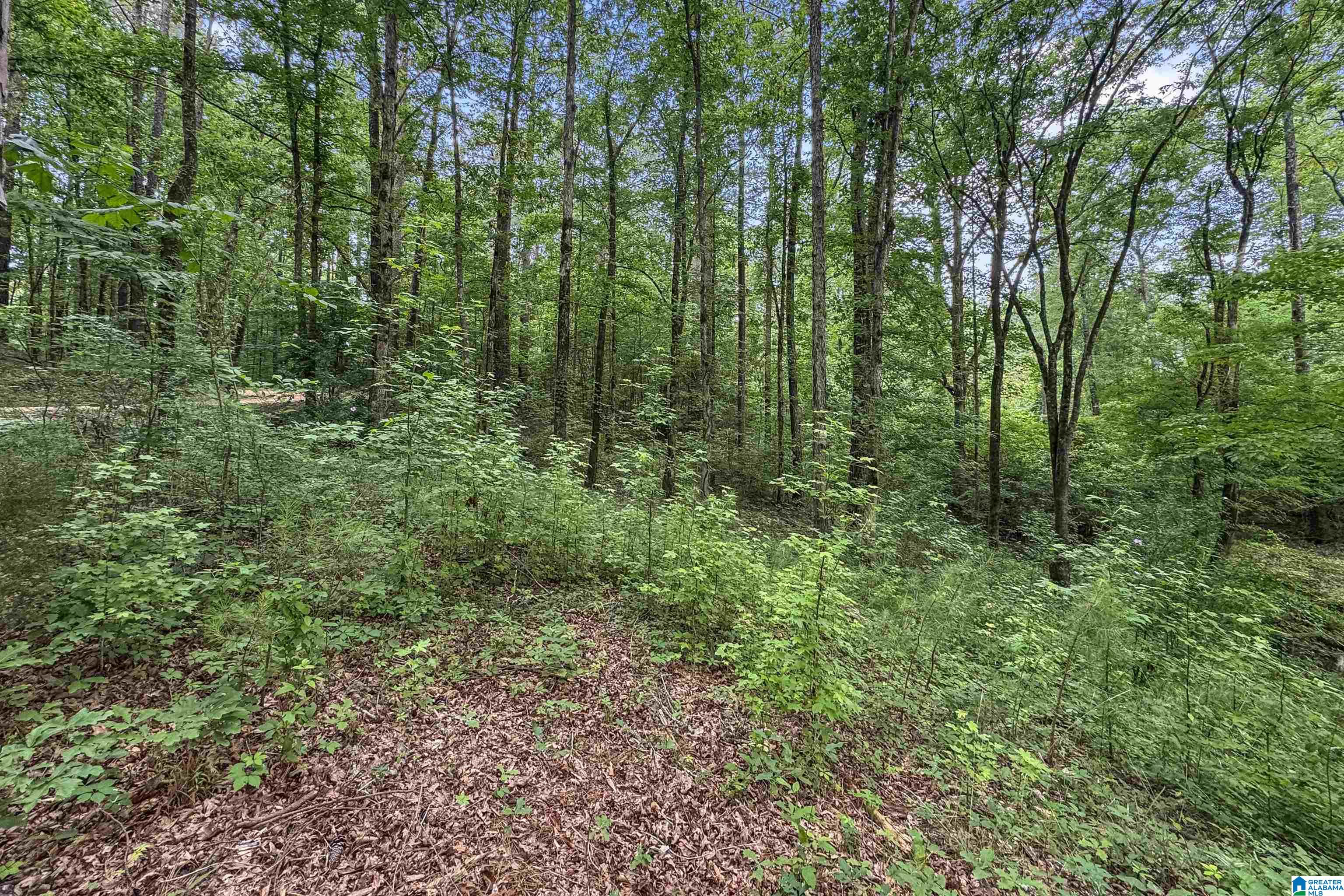 0 Red Oak Circle Helena, AL 35080 - Photo 14 of 21