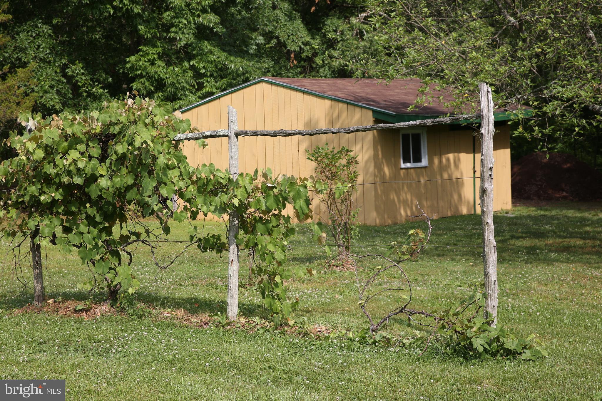 24 Moyer Road Telford, PA 18969 - Photo 56 of 62 a backyard of a house with lots of green space