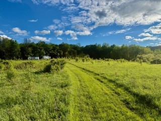 Ridgeview Road Norwich, NY 13815 - Photo 3 of 11