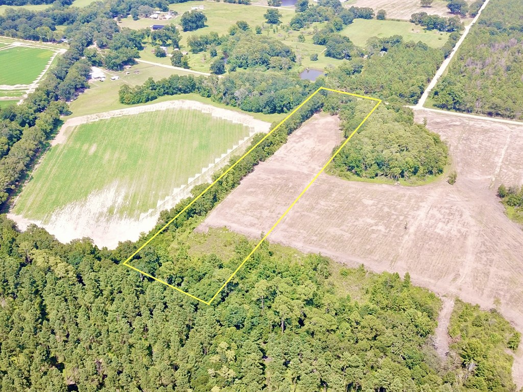 L1 New Hinson Road Slocomb, AL 36375 - Photo 5 of 30