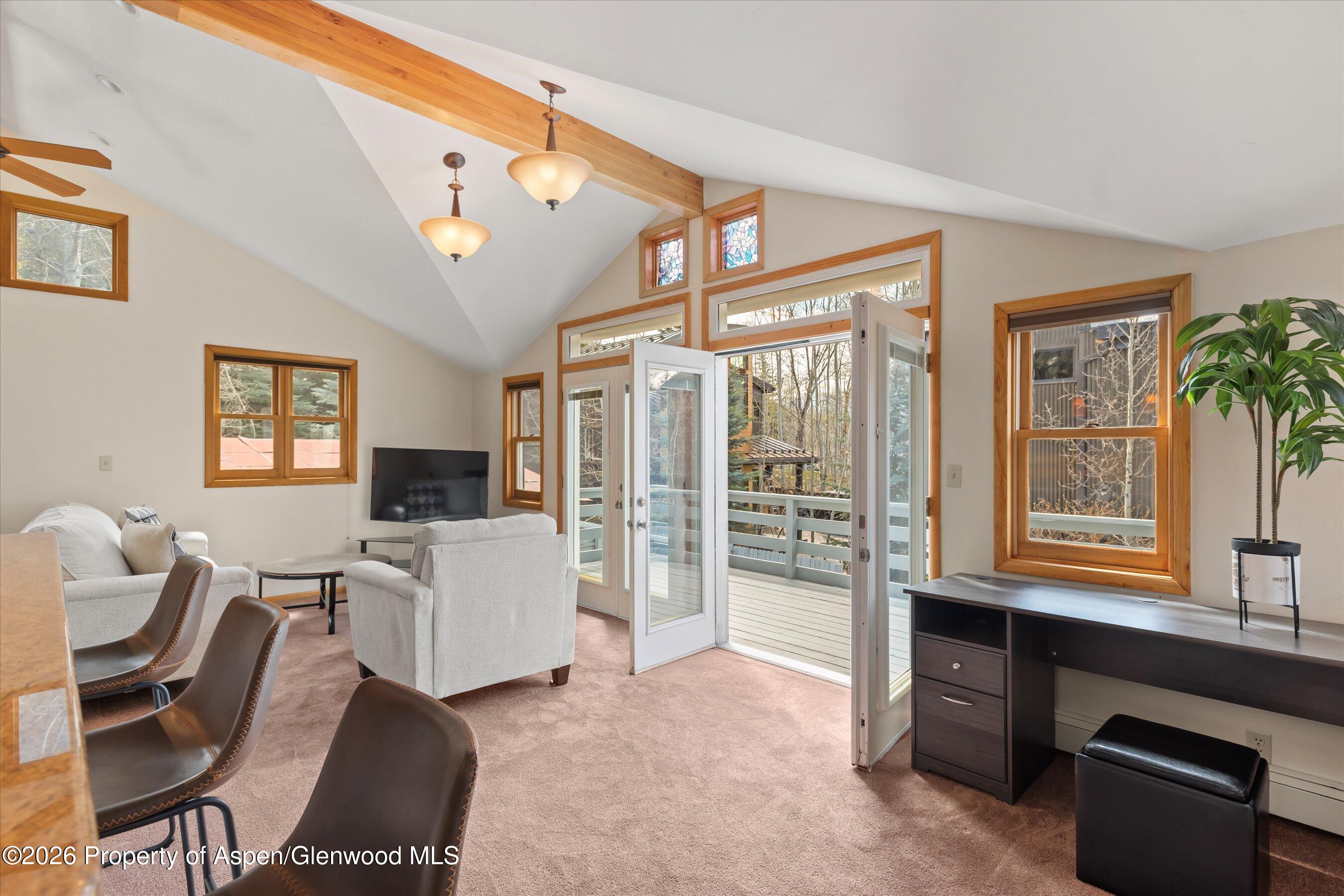53 Spruce Street, Unit S 1 AND 2 Aspen, CO 81611 - Photo 64 of 67 01-01-536SpruceSt_250429001
