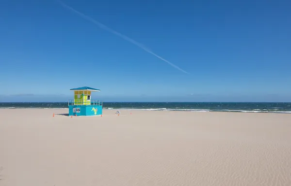 a view of a swimming pool with lawn chairs and plants