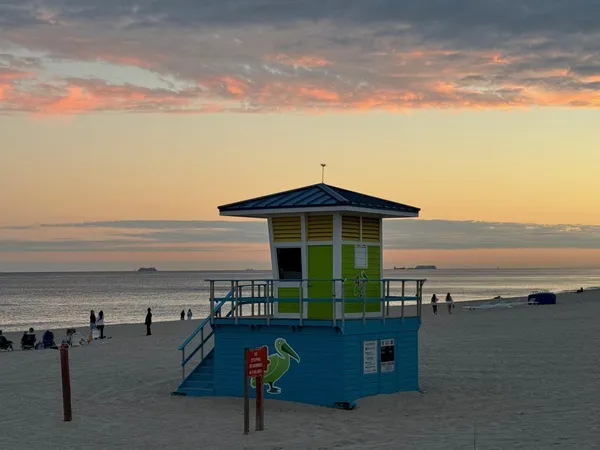 a view of a field with grass