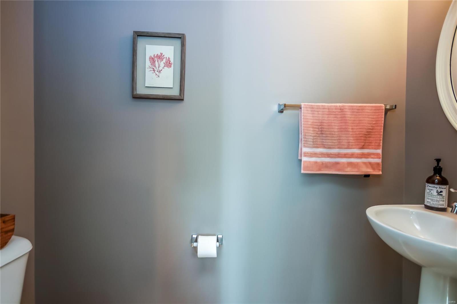3230 Reed Crossing Street St. Charles, MO 63301 - Photo 13 of 29 Gallery Image 13