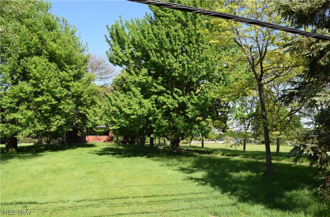 7767 Webster Road Middleburg Heights, OH 44130 - Photo 19 of 19 Gallery Image 19