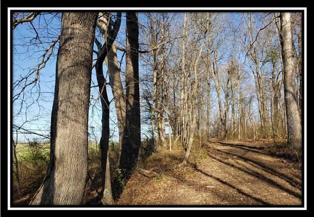 0 Harrison Road Jackson, OH 45640 - Photo 25 of 50 image025