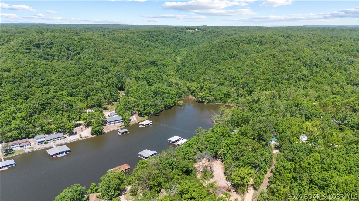 5-acres Pirates Pirates Cove Road Camdenton, MO 65020 - Photo 10 of 30