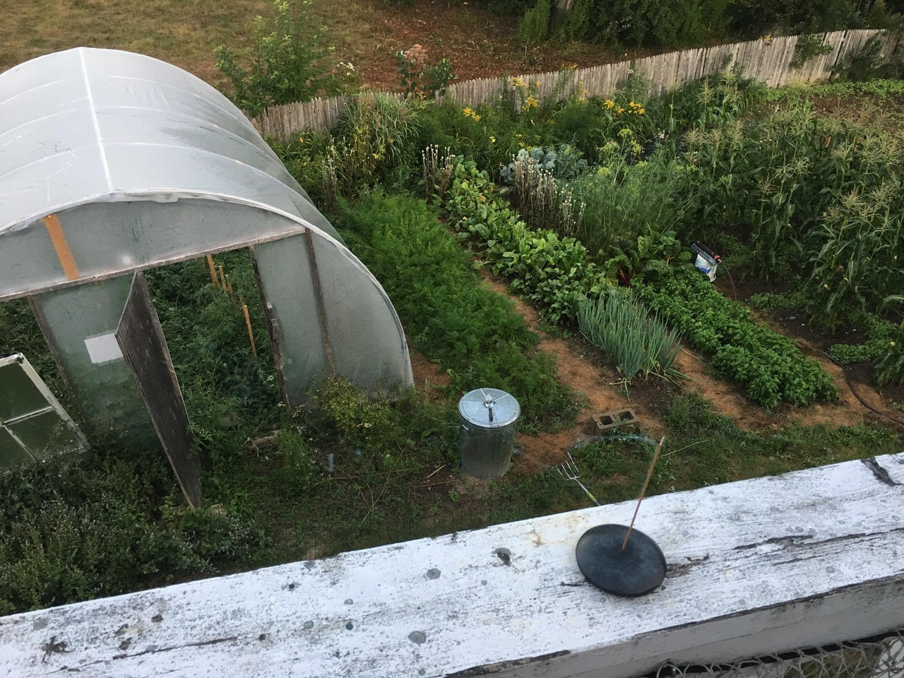 39 Rogers Point Road Steuben, ME 04680 - Photo 9 of 21 Garden