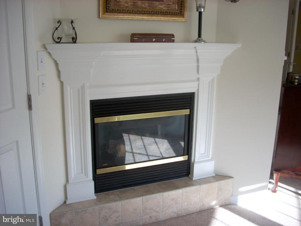 300 Bloomfield Drive Lititz, PA 17543 - Photo 5 of 10 Gallery Image 5