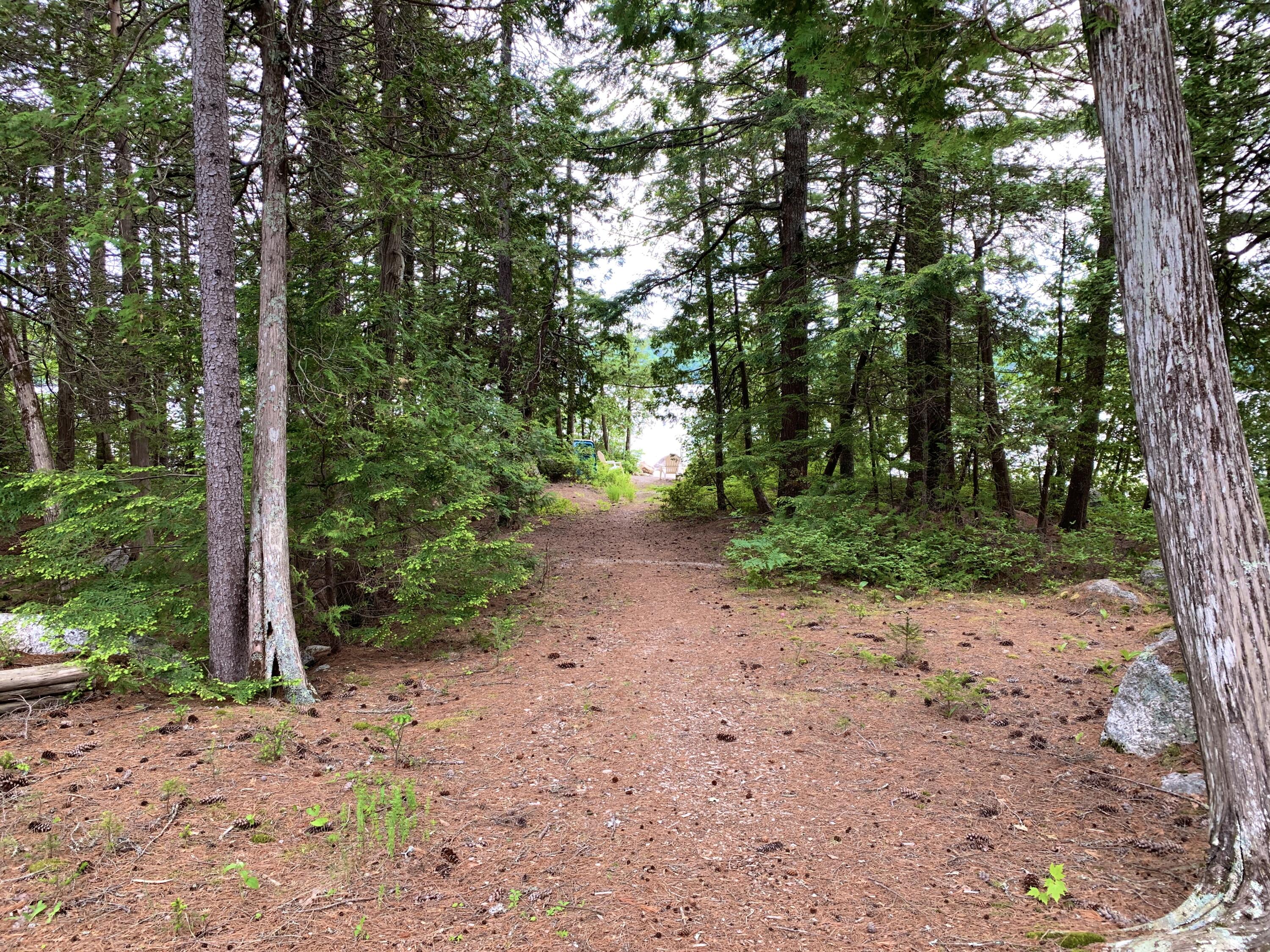 176 Long Point Way Orland, ME 04472 - Photo 23 of 32 20210608_195842327_iOS