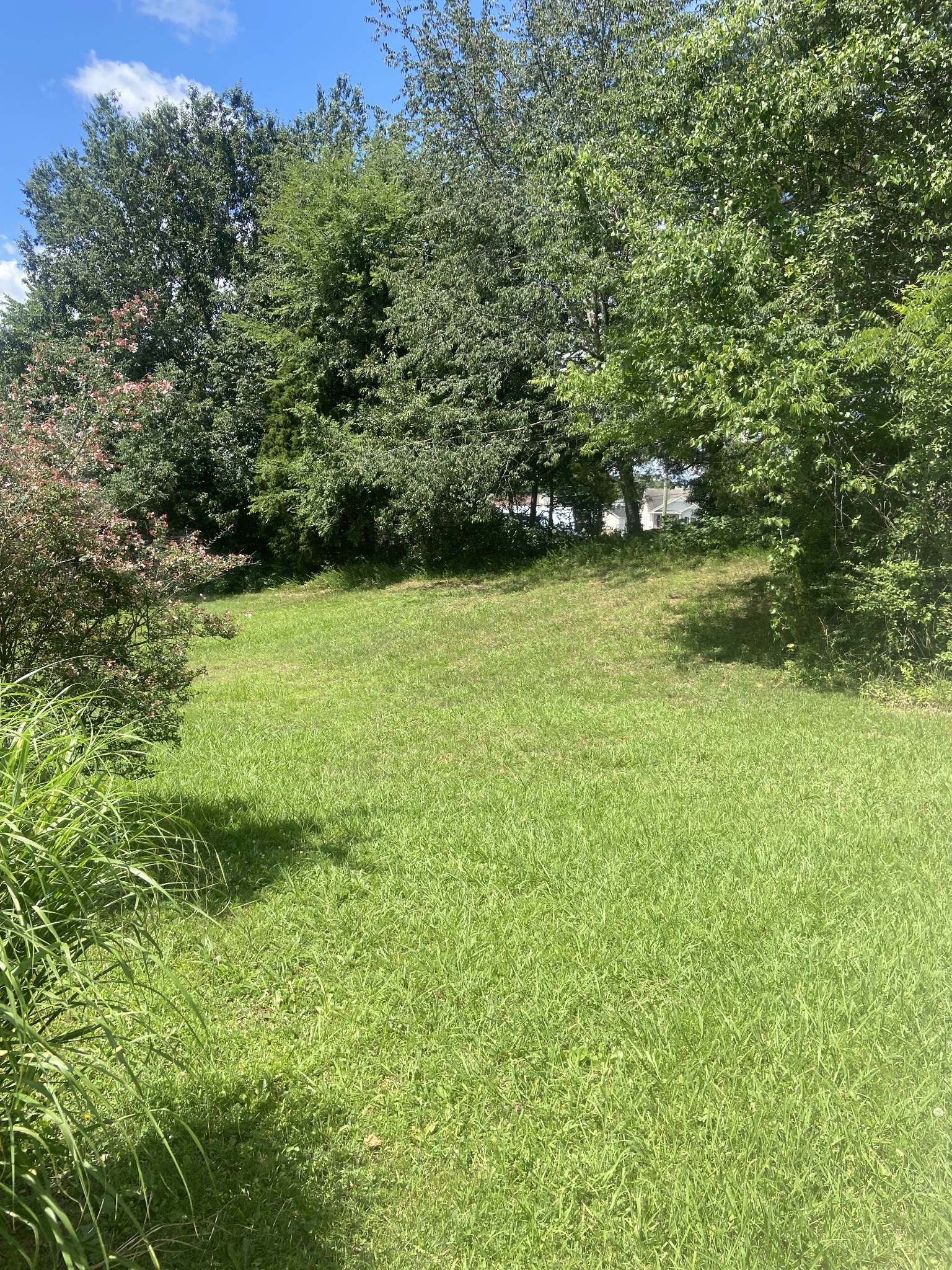 838 Turtle Creek Road Clarksville, TN 37043 - Photo 13 of 14 Gallery Image 13