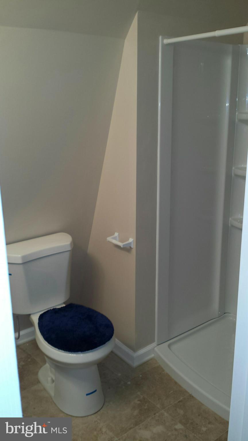 715 Old Love Point Road Stevensville, MD 21666 - Photo 17 of 29 Master Shower