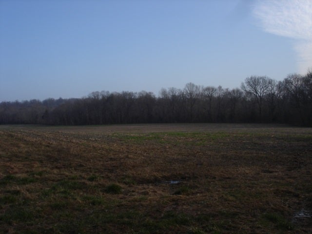 0 Minnicks-Johnson Road Franklin, KY 42134 - Photo 7 of 12 Gallery Image 7