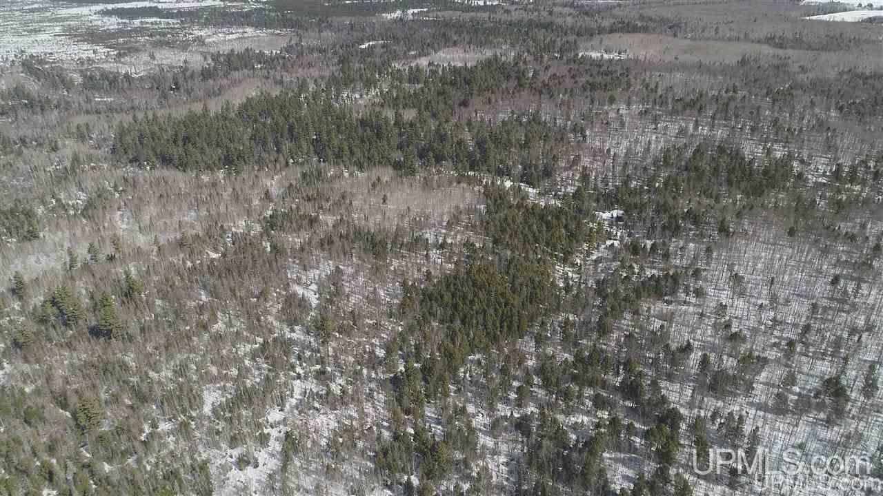 240-acres Leek Road Covington, MI 49919 - Photo 39 of 50