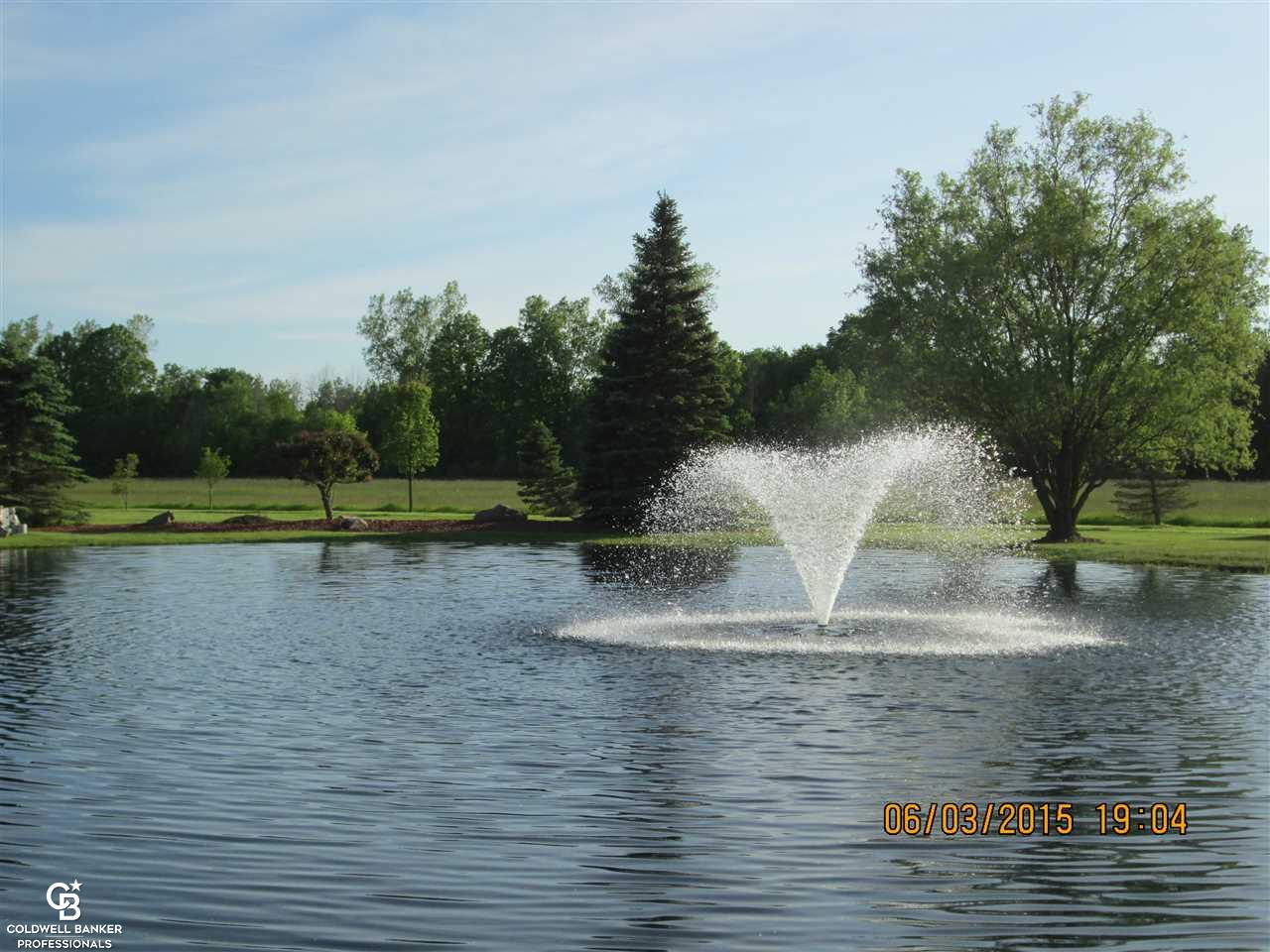 8393 Frith Road Columbus, MI 48063 - Photo 92 of 98 31291431-91.JPG