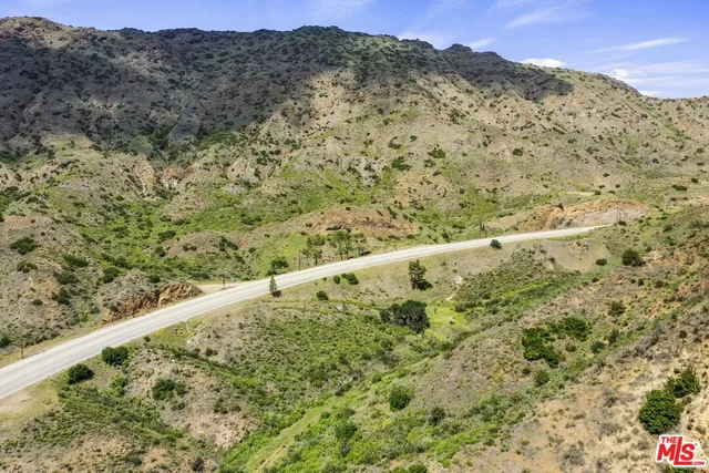 a view of a large garden with mountain in the background