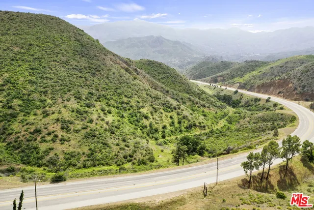 a view of a forest with a forest