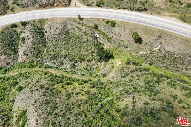 a view of a large mountain with a forest