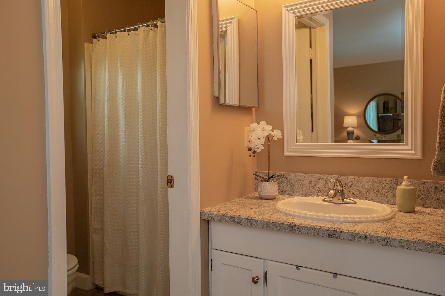 136 Ridings Way Lancaster, PA 17601 - Photo 48 of 76 Gallery Image 48
