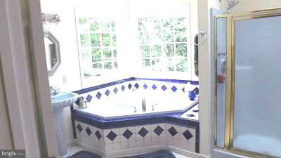 162 Setting Sun Ridge Gerrardstown, WV 25420 - Photo 13 of 15 Bath Master