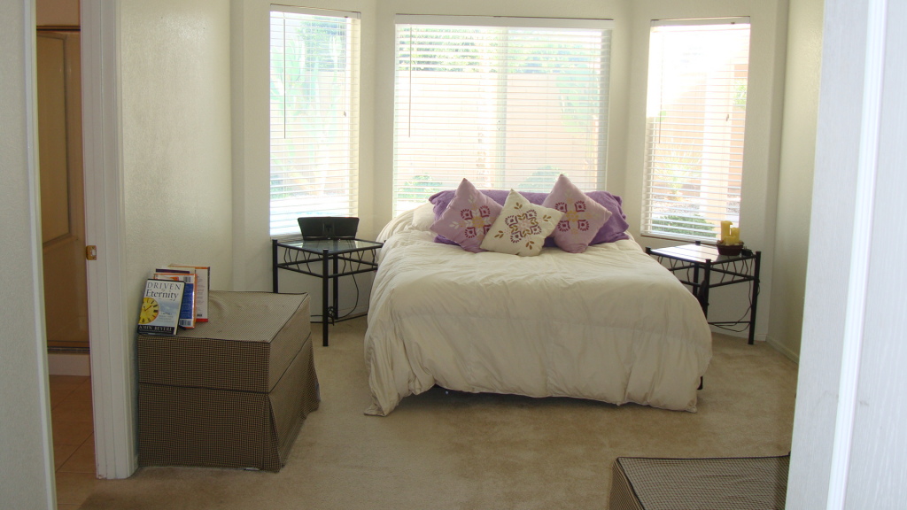 12913 West Cheery Lynn Road Avondale, AZ 85392 - Photo 9 of 15 BEAUTIFUL BAY WINDOWS!!