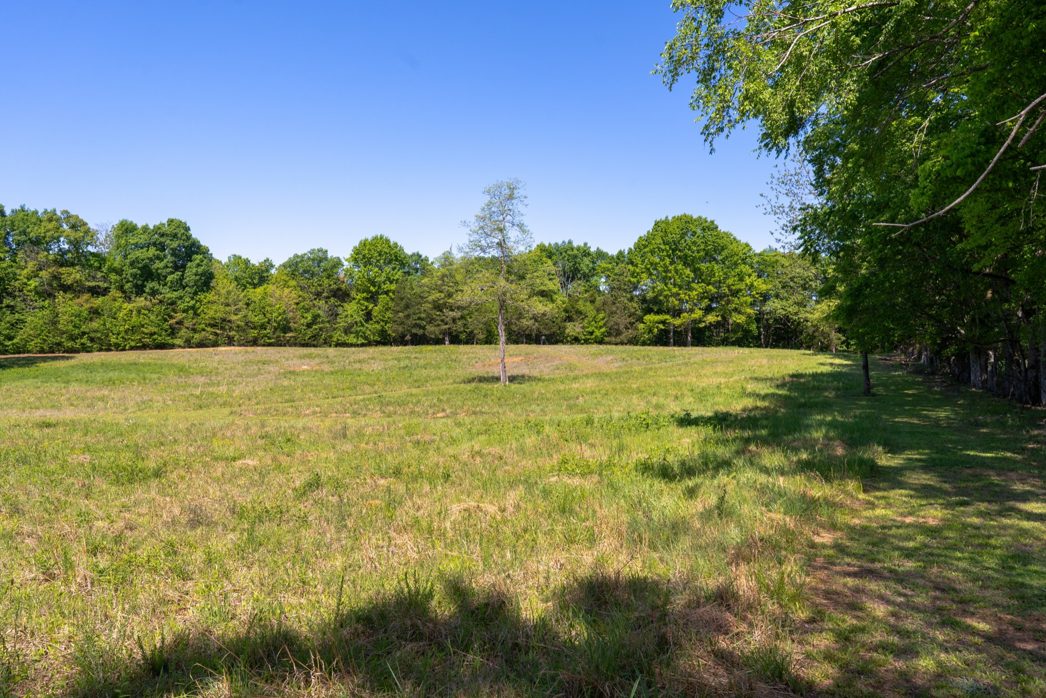 3680 Clark Road Lewisburg, TN 37091 - Photo 35 of 97 Gallery Image 35