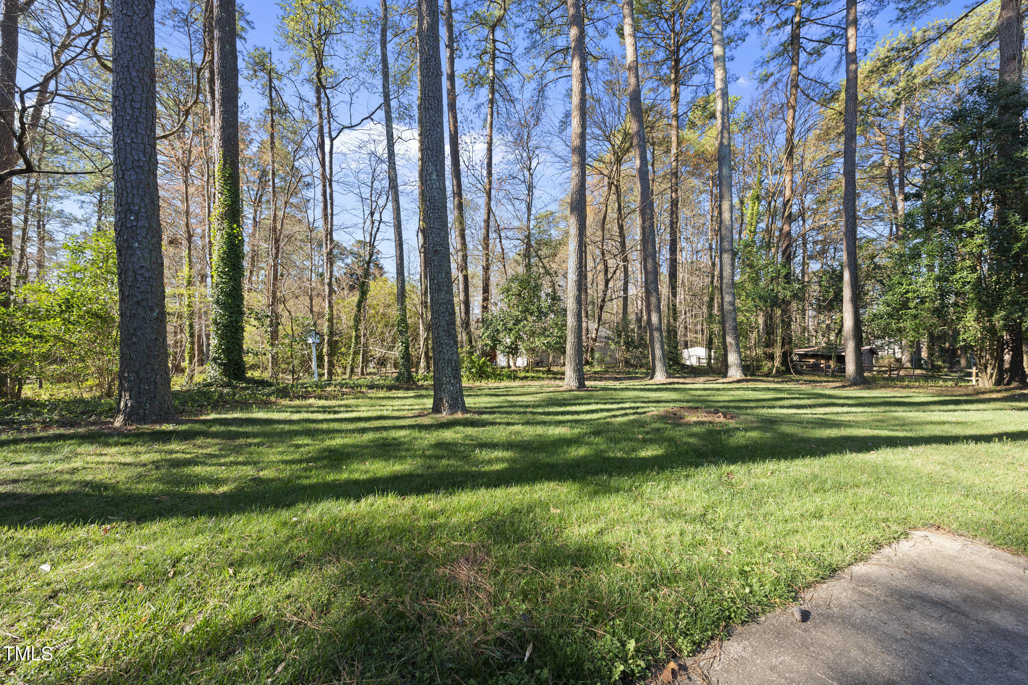 11801 Strickland Road Raleigh, NC 27613 - Photo 36 of 38 a garden view with outdoor space