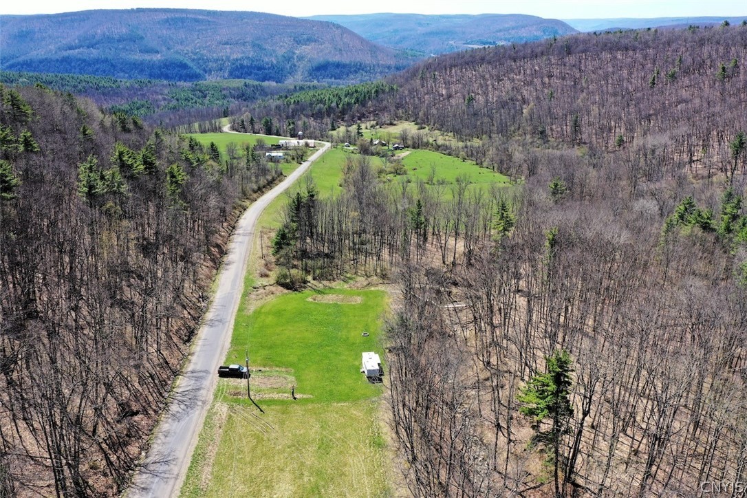 5831 Burt Hill Road Howard, NY 14823 - Photo 2 of 40