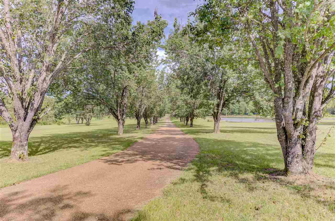 135 Cidero Road Raymond, MS 39154 - Photo 3 of 50 Photo 3