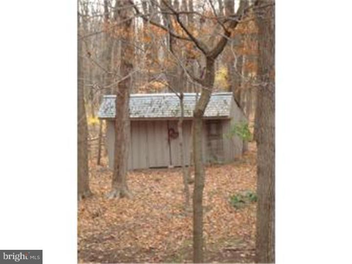 Storage Shed