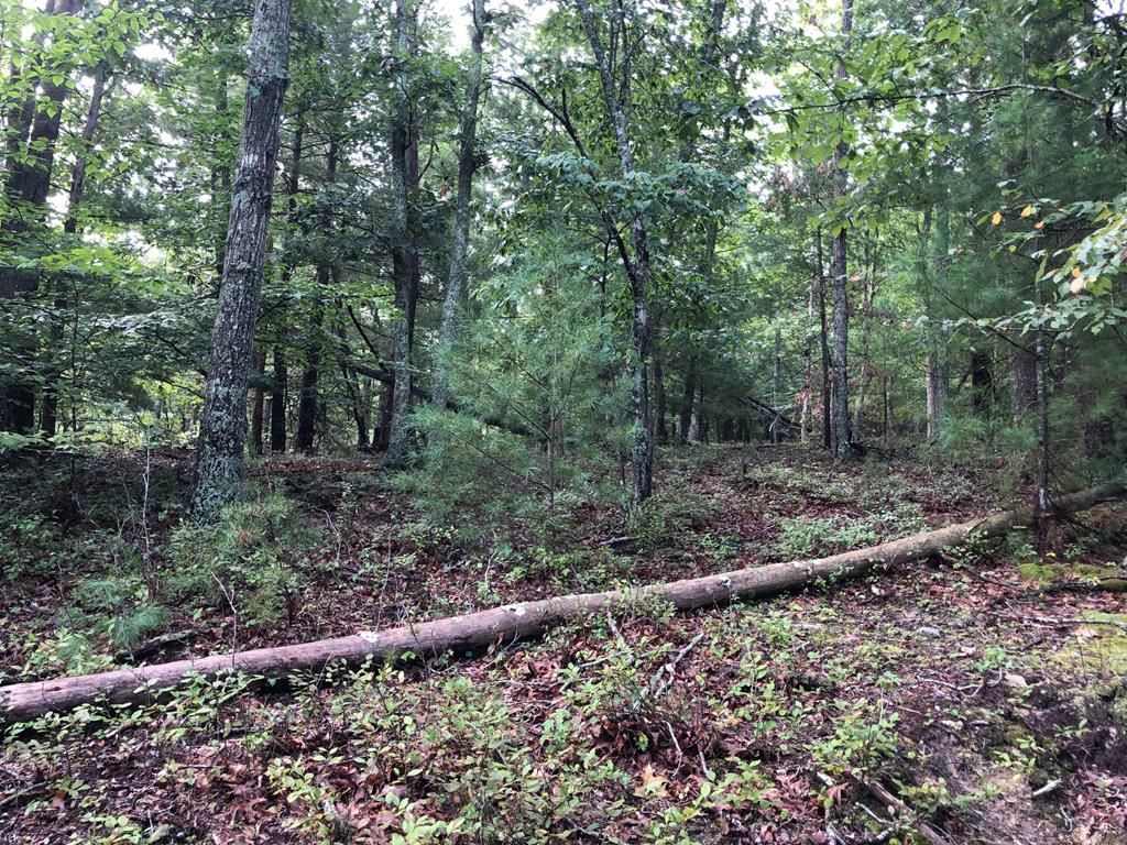2051 Cold Mountain Road, Unit 8 Radford, VA 24141 - Photo 11 of 15 Gallery Image 11