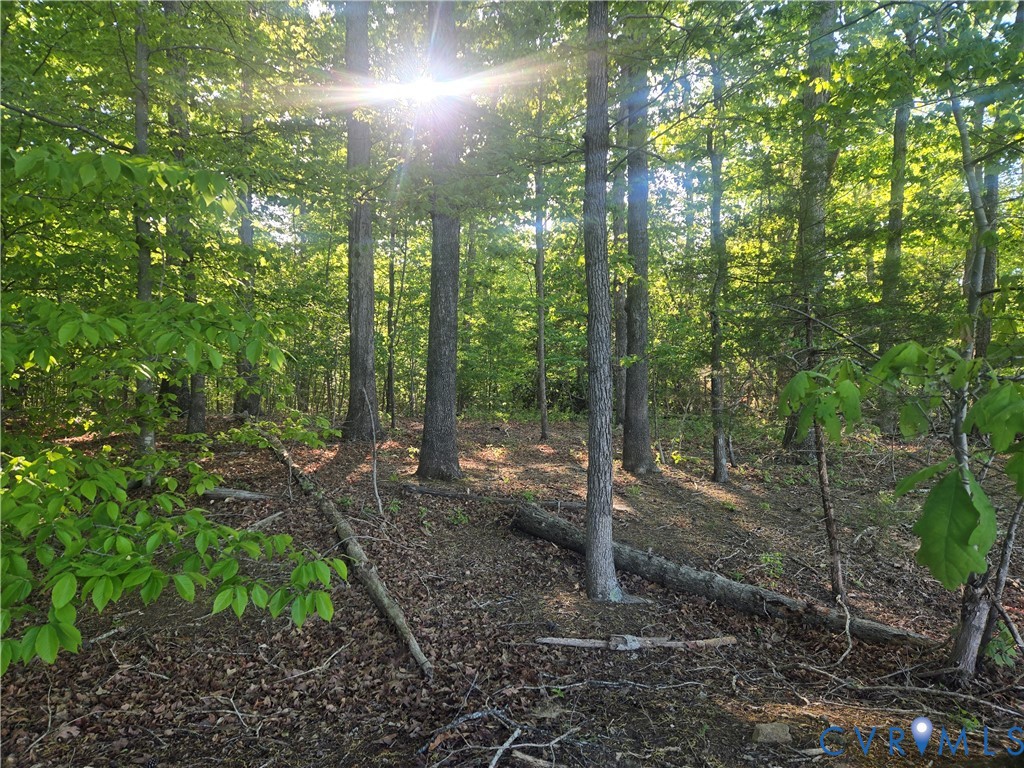 0 Rocky Ford Road Powhatan, VA 23139 - Photo 3 of 6