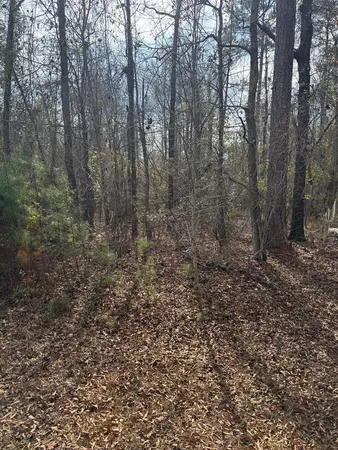 $20,000 | 0 Singer Lane, Abbeville, AL 36310