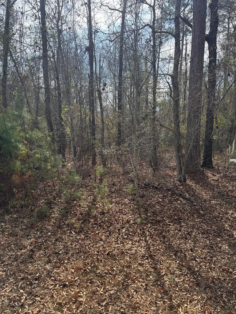 0 Singer Lane Abbeville, AL 36310 - Photo 1 of 5