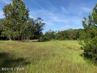 3321 Tendell Road Cottondale, FL 32431 - Photo 3 of 4