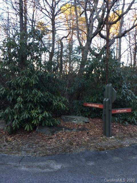 222 Conifer Falls Road, Unit 222 Cleveland, SC 29635 - Photo 17 of 20