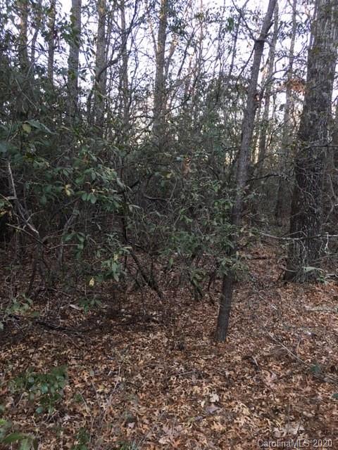 222 Conifer Falls Road, Unit 222 Cleveland, SC 29635 - Photo 19 of 20