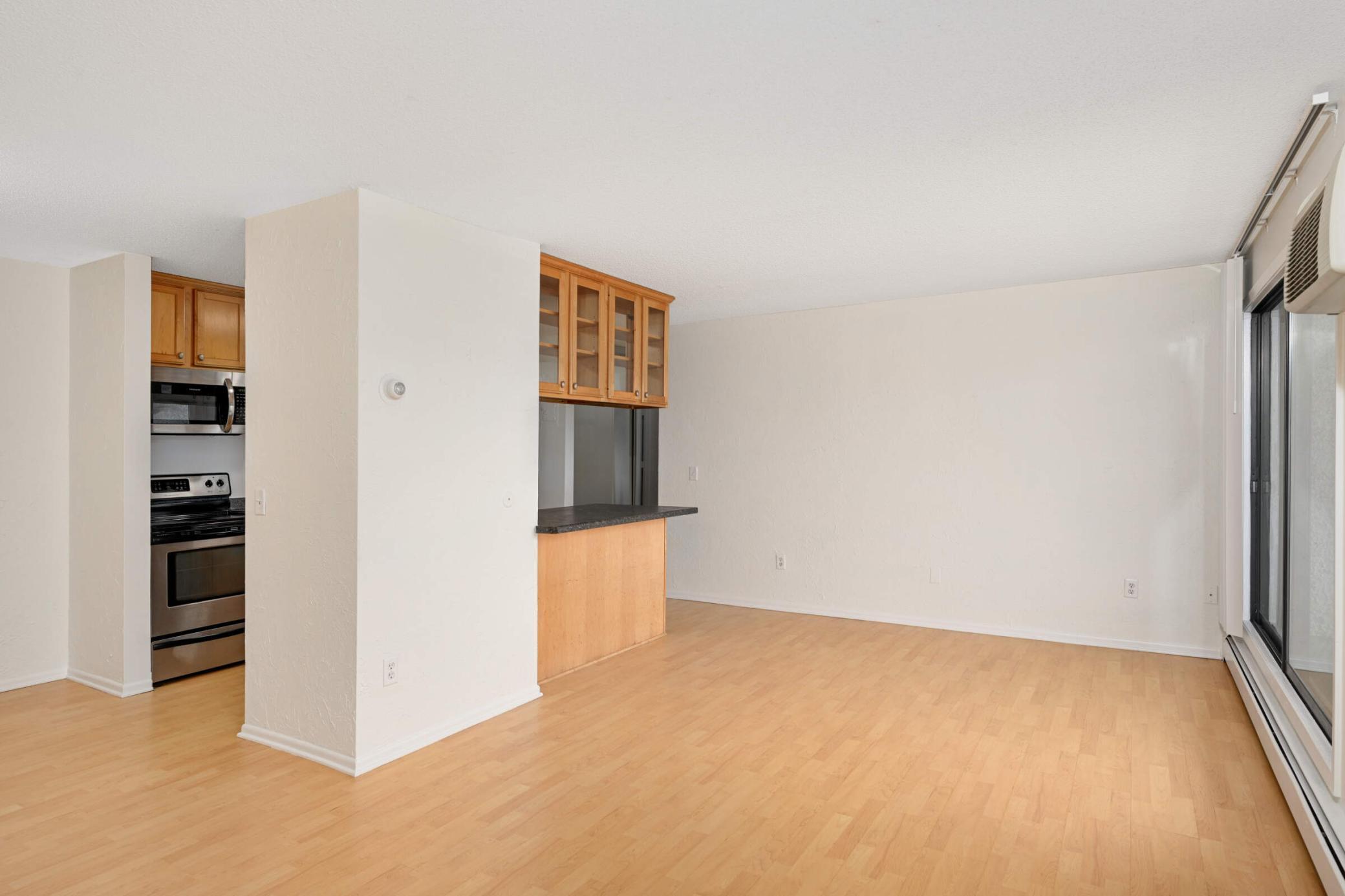 4110 Rahn Road, Unit 210 Eagan, MN 55122 - Photo 8 of 23 Gallery Image 8