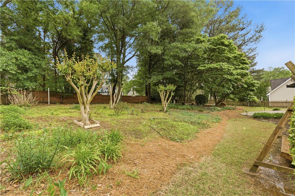 2824 Carriage Rowe Duluth, GA 30096 - Photo 37 of 45 a view of backyard with tree