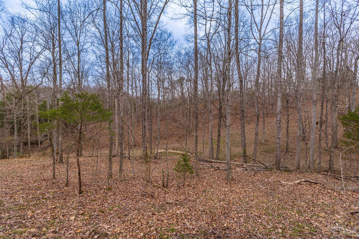 1025 Davis Road Peebles, OH 45660 - Photo 46 of 63